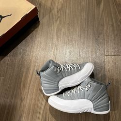 Jordan 12: Stealth | 11M