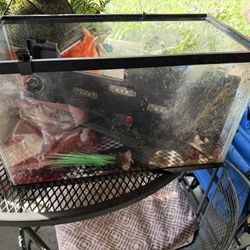 25 Gallon Tank 