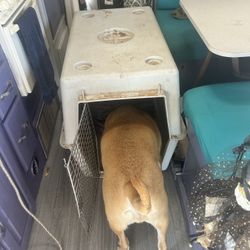 Pet Carrier, Crate, And Exercise Pin 