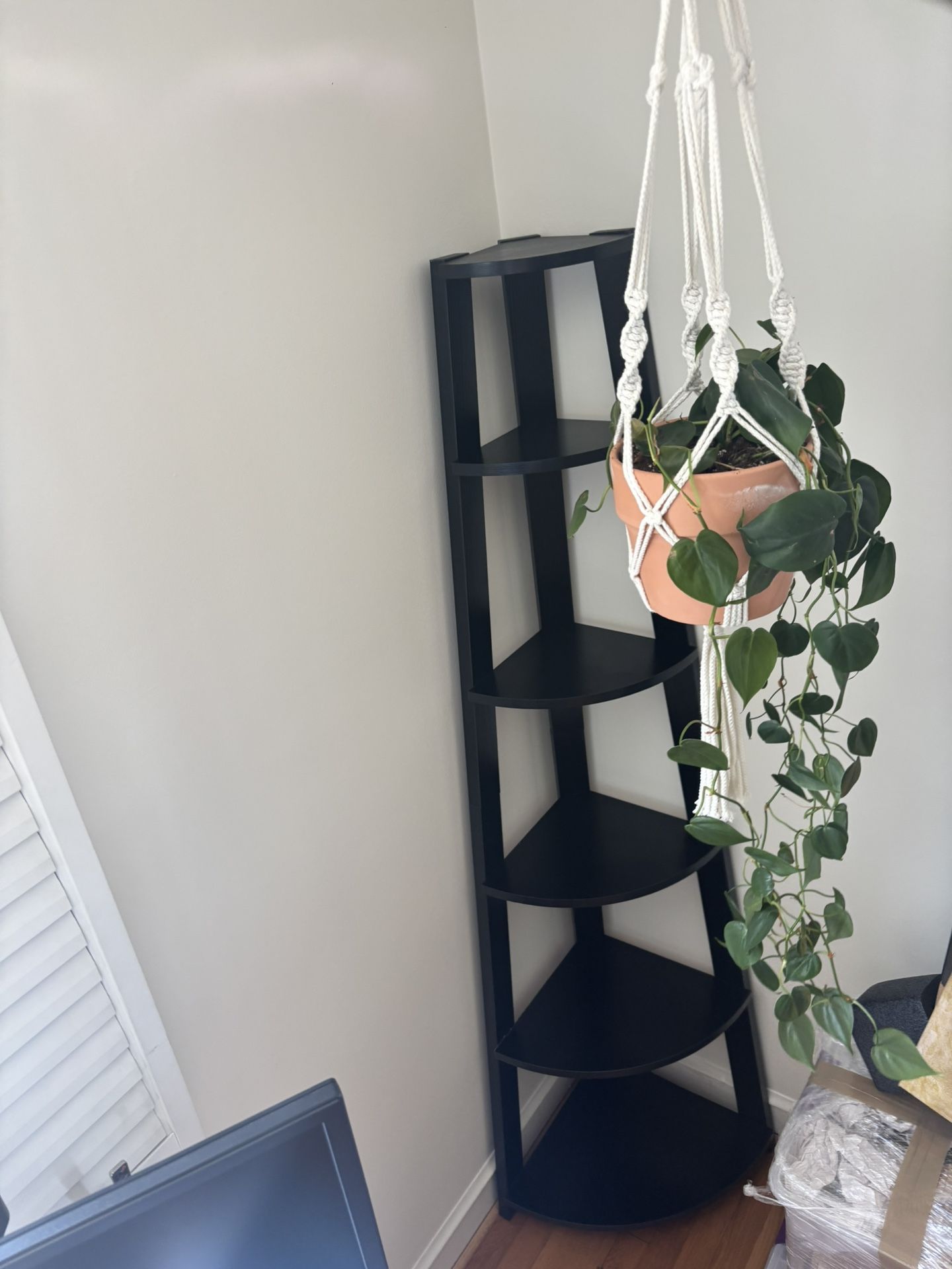 Bookcase / Bookshelf / Shelving