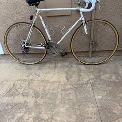 Catalina Road Racing Touring Bike 10 Speed Shimano Falcon New Tires