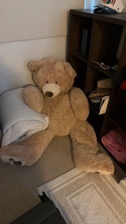 Big Brown Teddy Bear