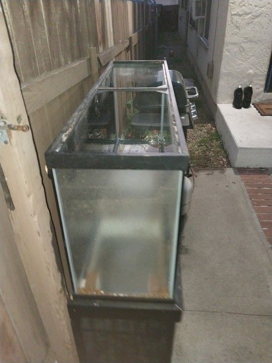 55 G Fisht Tank W Stand