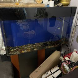 Fish Tank With Cupboard Stand