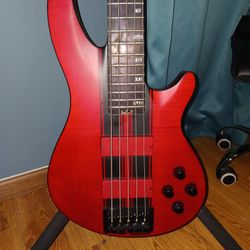 5 String Bass Guitar