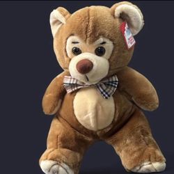 Rare Vintage Disney World BEARLY COUNTRY Plush Brown Bear 16" with original tag