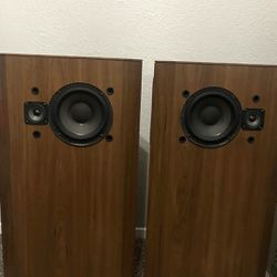 Vintage Bose 401 Main Tower Speakers Great Condition (Set Of 2)