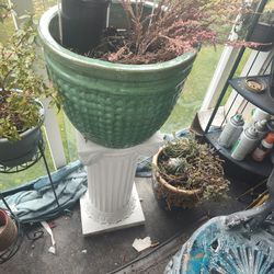 Various Prices Flower Pots And Pedestal And Shelves And Stands 