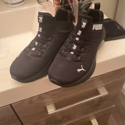 Puma Size 2