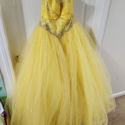 Quinceañera/Prom Dress