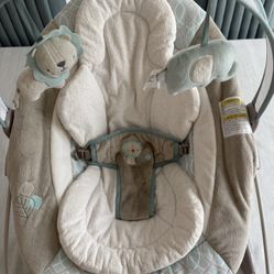 Ingenuity Automatic Bouncer 