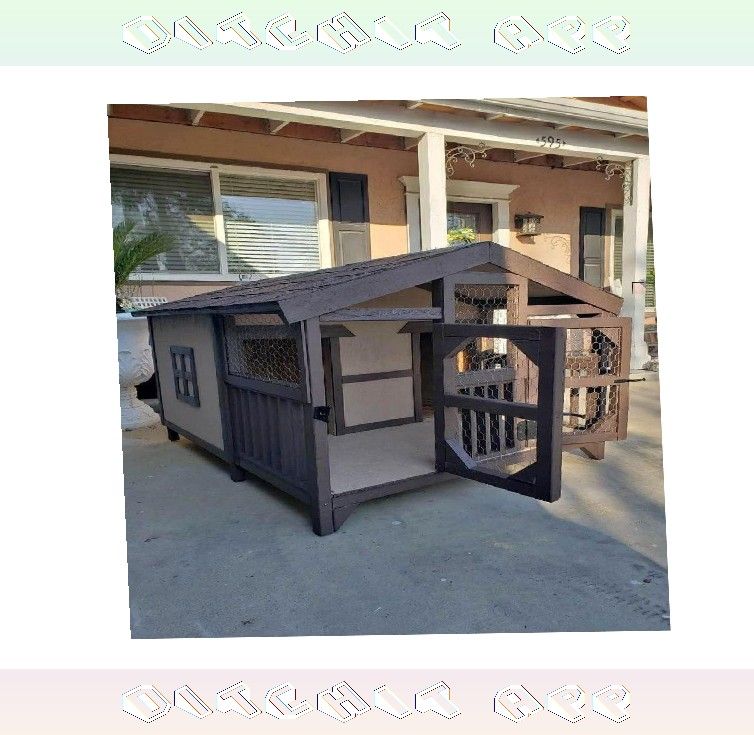Comfy Dog Houses - Your Pet's Dream Home approach social