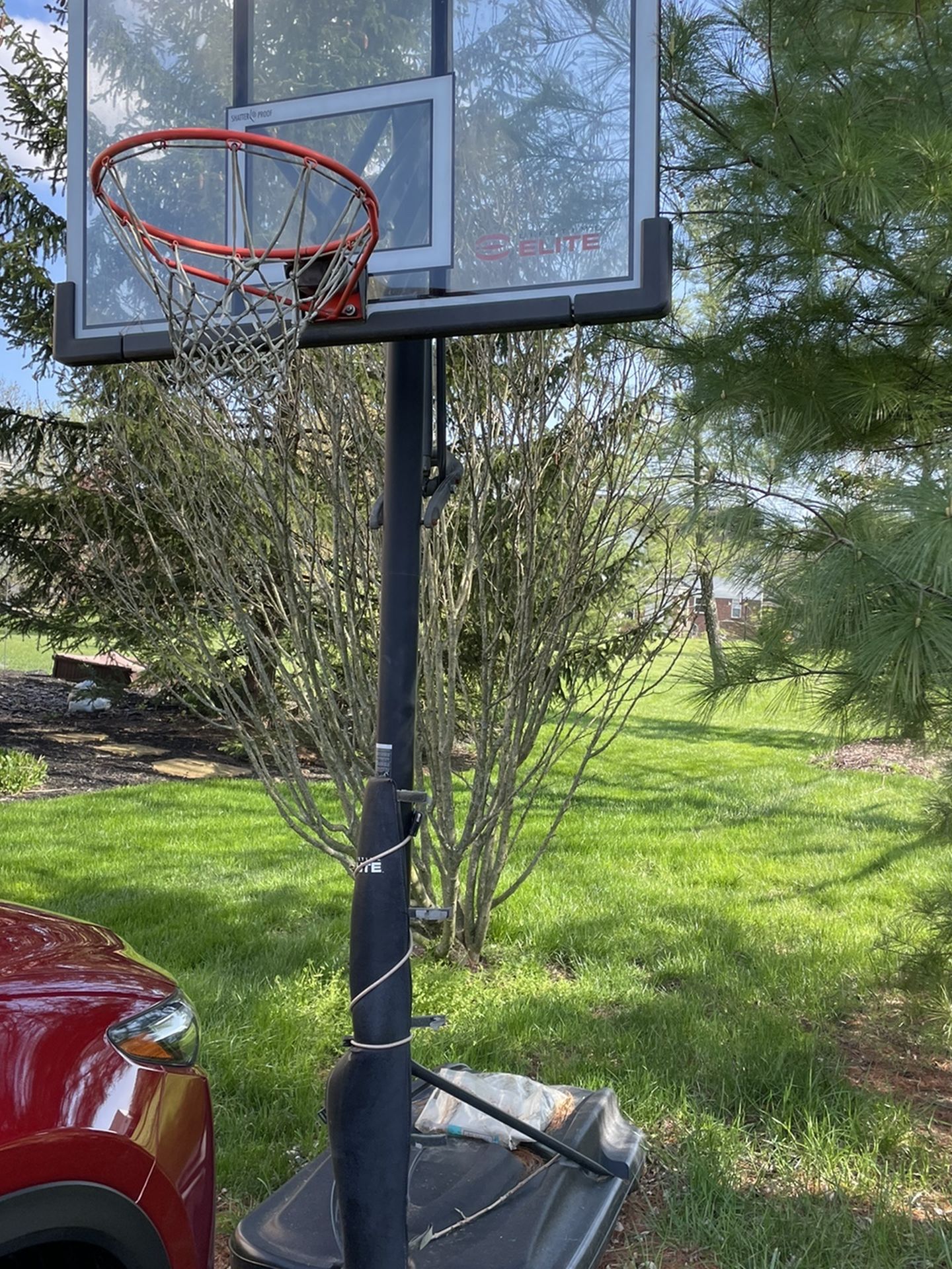 Lifetime Elite Basketball Goal