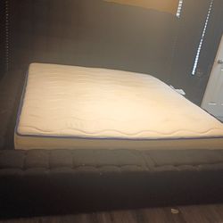 Kind Size Black Bed  800$