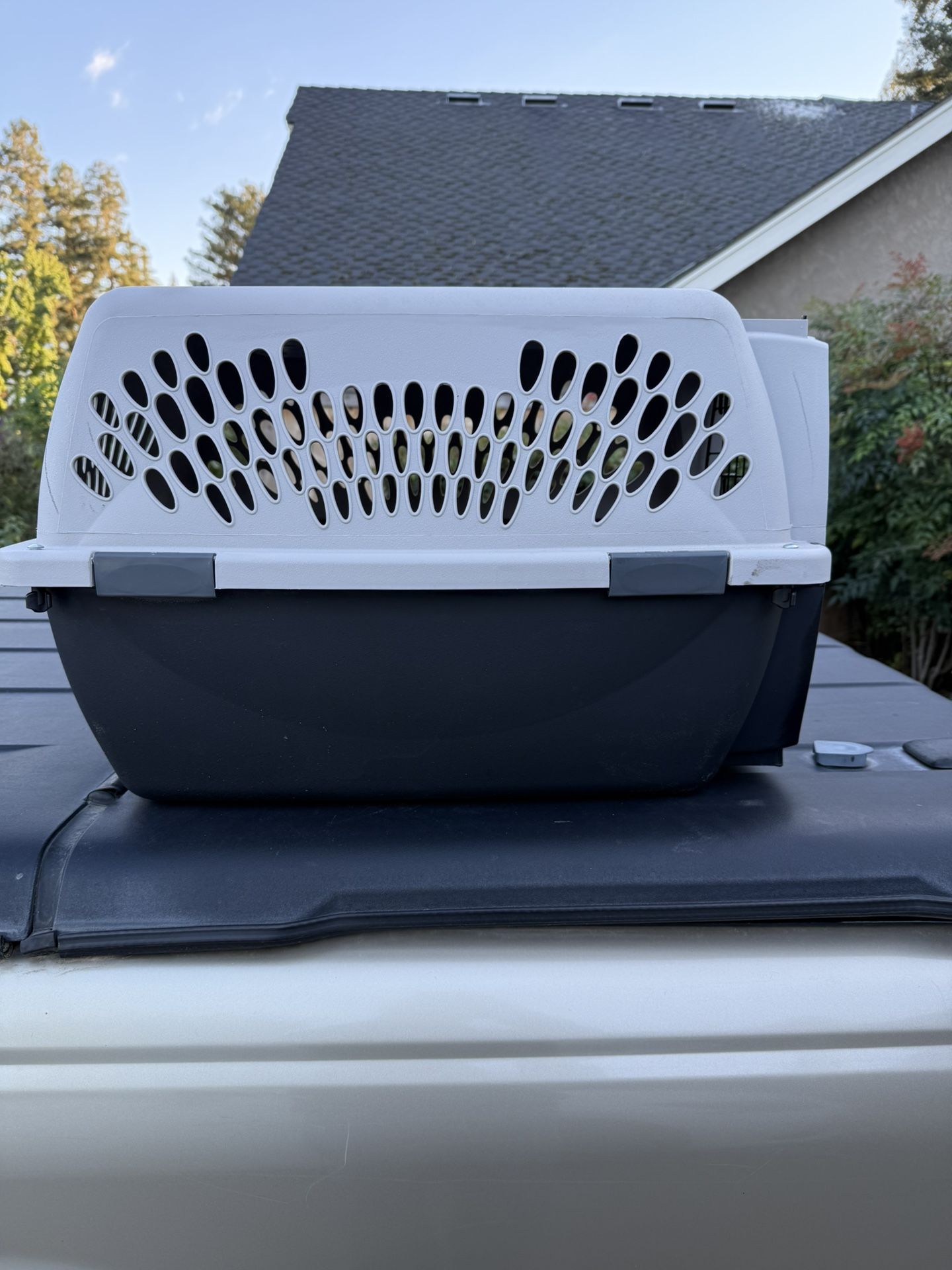 Medium Dog Crate 25”x 17”