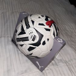 FIFA Pro Quality Ball Size 5