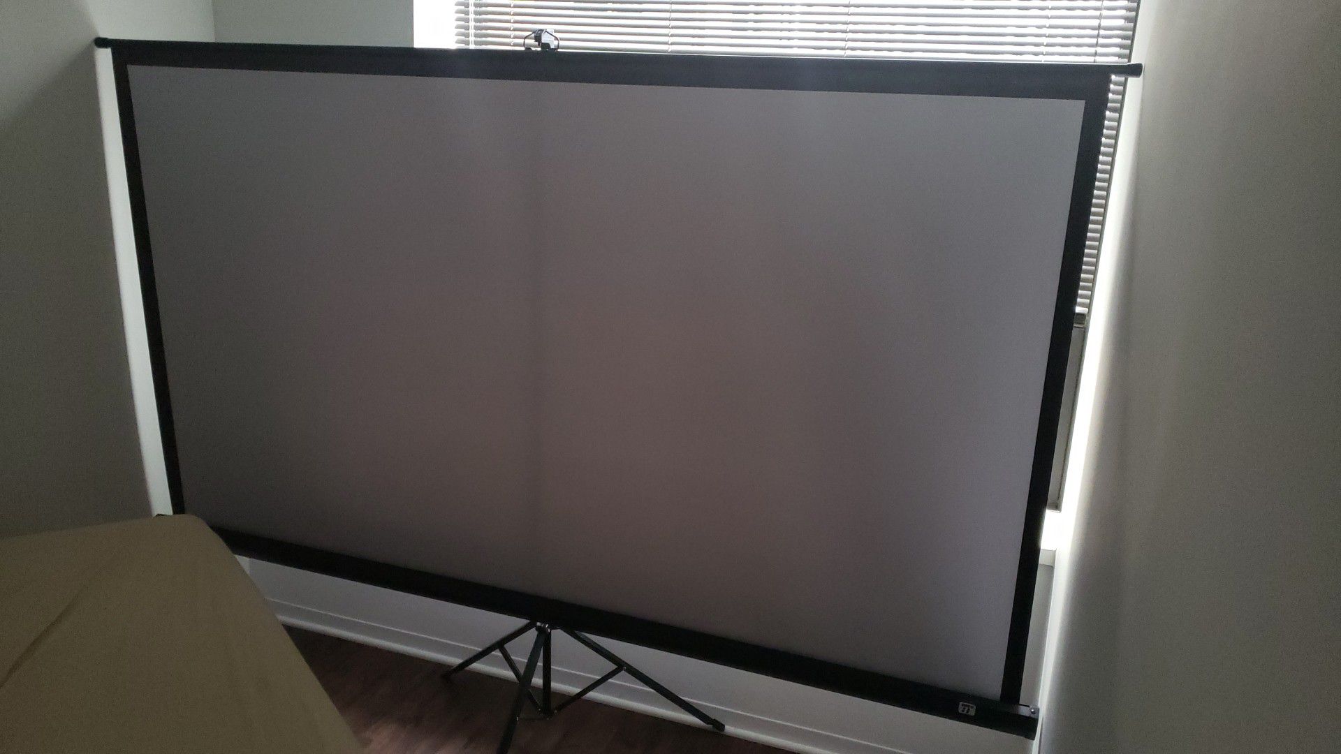 Screen for the projector