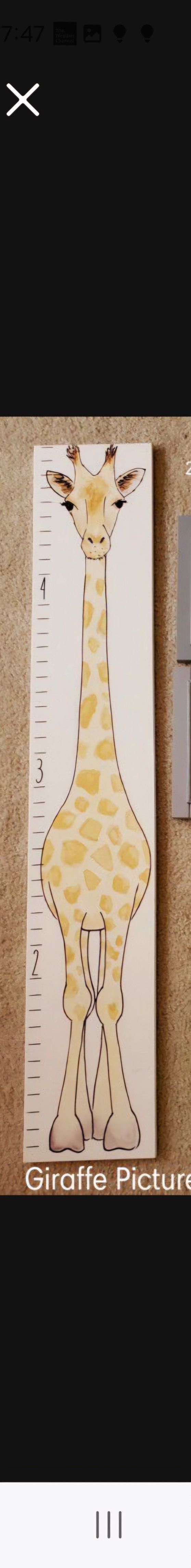 Cute Animal Nursery Decor **best Offer