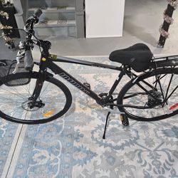 Hybrid Bicycle 