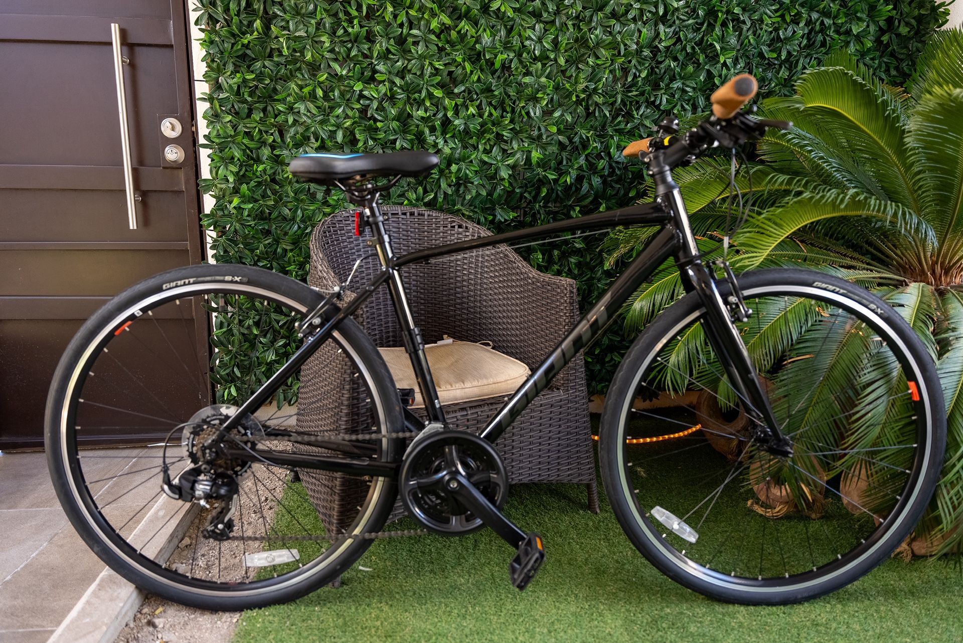 Giant Medium Frame