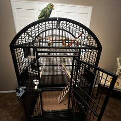 Large Bird Cage