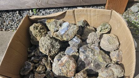 FREE Thunder Egg Geode Rocks