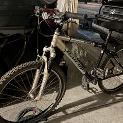 Mountain bike