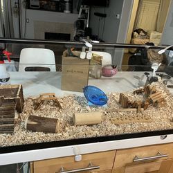 hamster / Reptile / Rodent / Rat / Gerbil  GLASS Cage Tank 55 gallon  + EXTRAS!! CLEAN!!