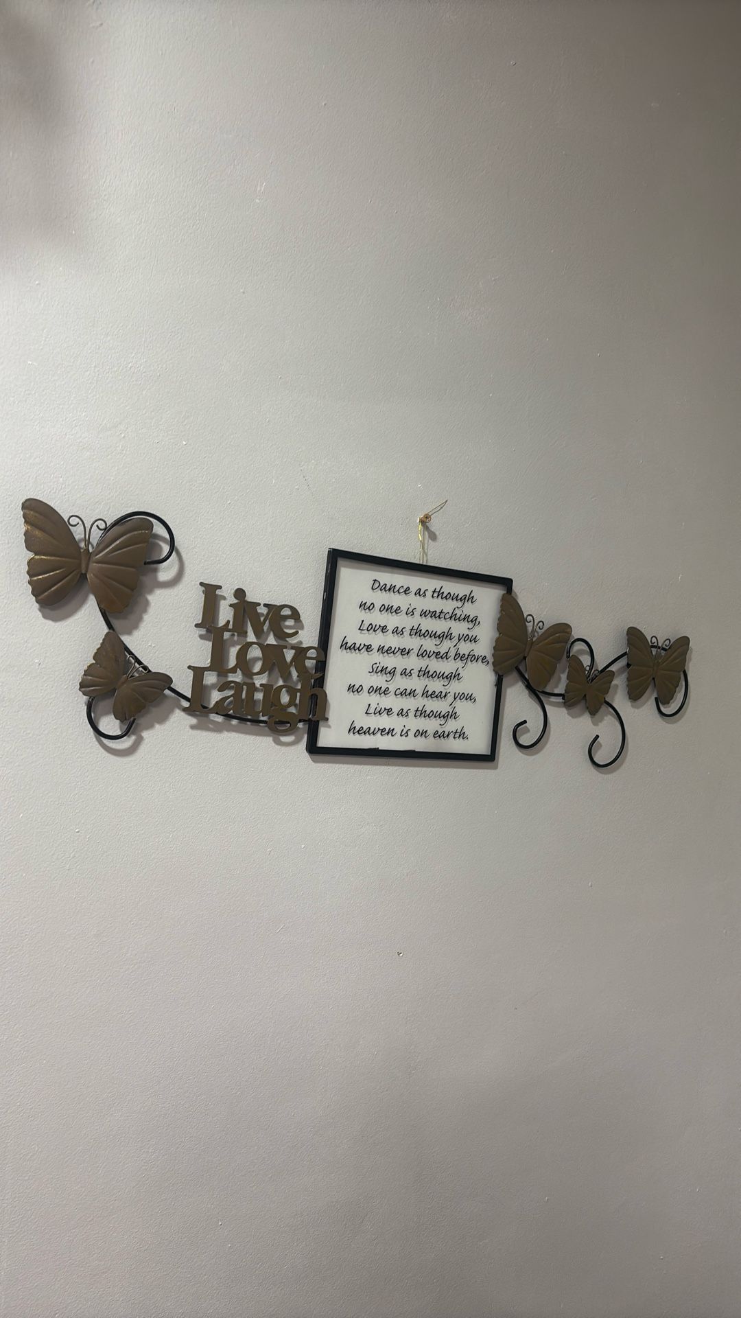 Butterfly Metal Frame