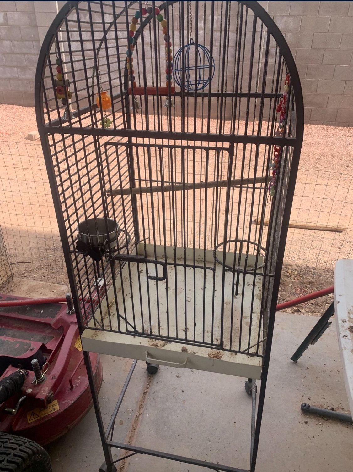 Bird Cage