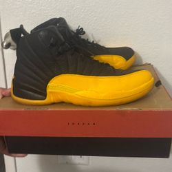 Air Jordan 12 Retro   ( Size 12)