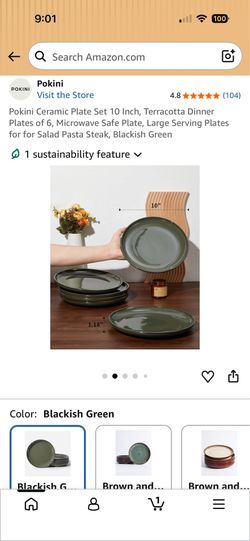 Pokini Ceramic Plate Set 10 Inch, Terracotta Dinner Plates of 6, Microwave Safe Plate, Large Serving Plates for for Salad Pasta Steak, Blackish Green