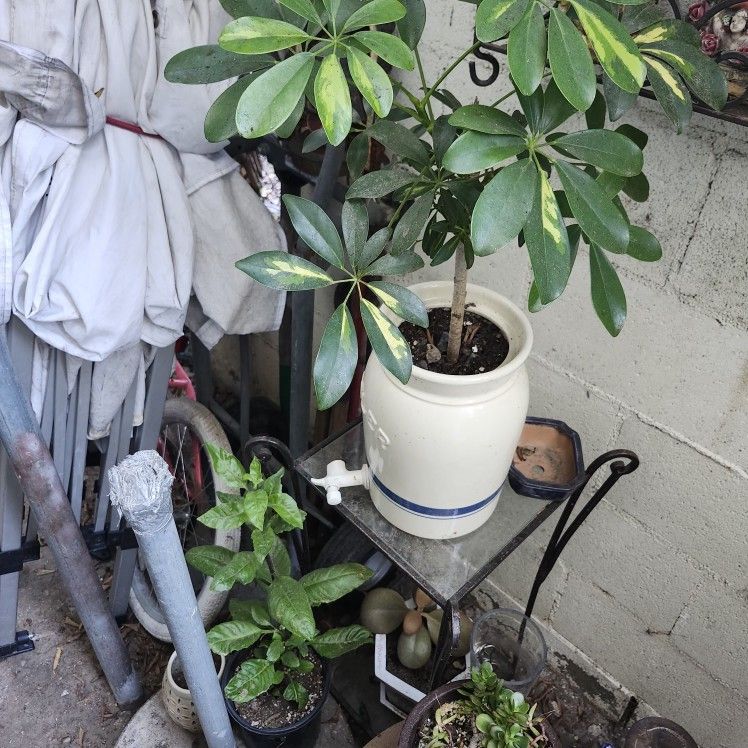 Sunday Sale Big Sale Everything Is For Sale 