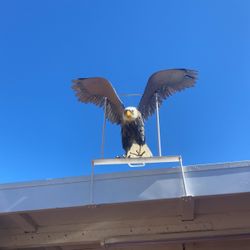 Eagle Statue  Made Are Tin Metal