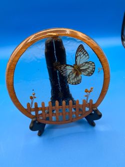Handmade butterfly display case