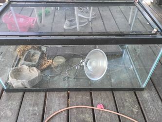 Reptile Tank With Accessories