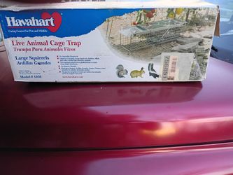 Animal trap