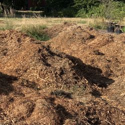 Free WOODCHIPS!!! We Have All Kinds