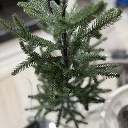 Mini Tree With Lights And Bulbs $20