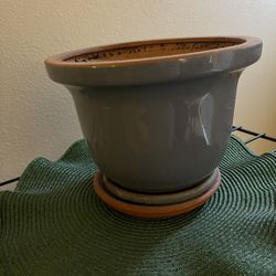 Plant Pot