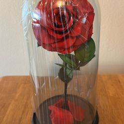 Rose Preserved Rose Dome Aurora. Real rose can last one year