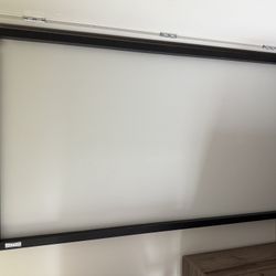 Da-Lite Projector Screen