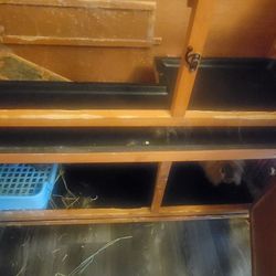 Rabbit Hutch