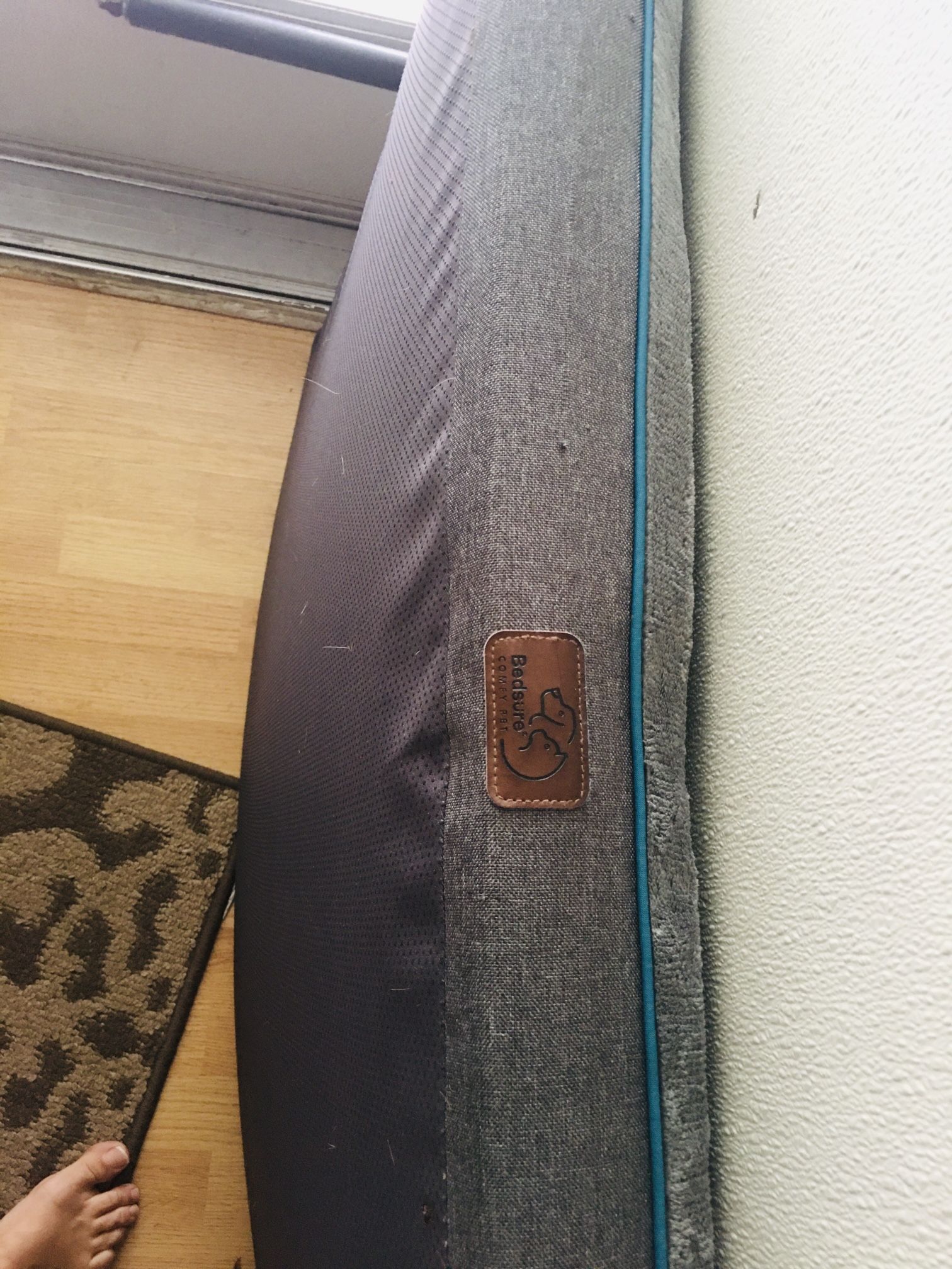 4 Inch Thick Dog Bed