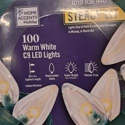 Christmas LIGHTS 100