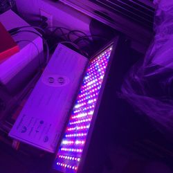 Bestva 2000W LED Grow Light – Full Spectrum – Indoor Grow Tent