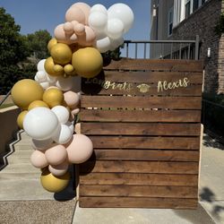 10ft Balloon Garland And Backdrop