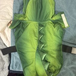 Small Dog Dragon Costume