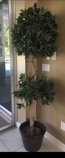 Topiary tree with lights in decorative pot