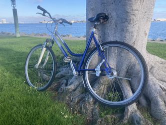 Dynamic Bike - Shaft Drive
